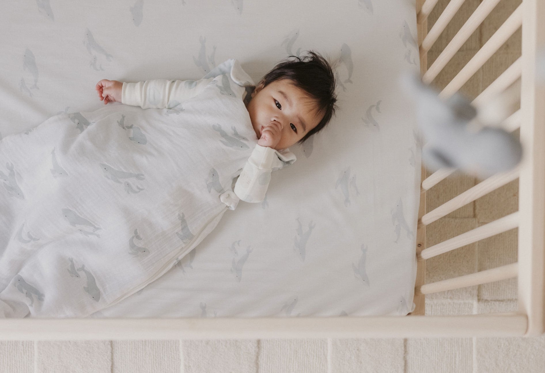 How to Dress Newborn Baby for Winter Sleep - Pehr How to Dress Newborn Baby for Winter Sleep - Pehr