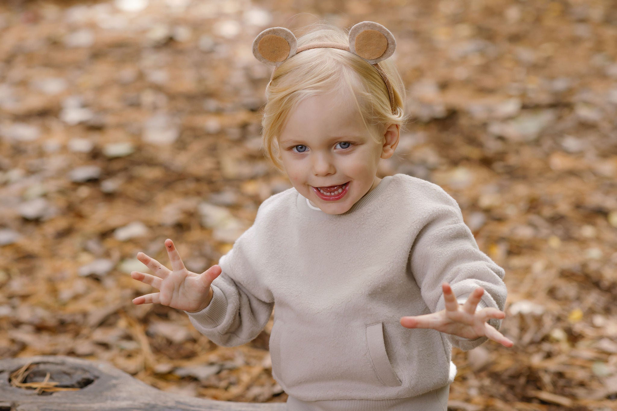 Image of a little boy in a Teddy Fleece sweater and bear ears