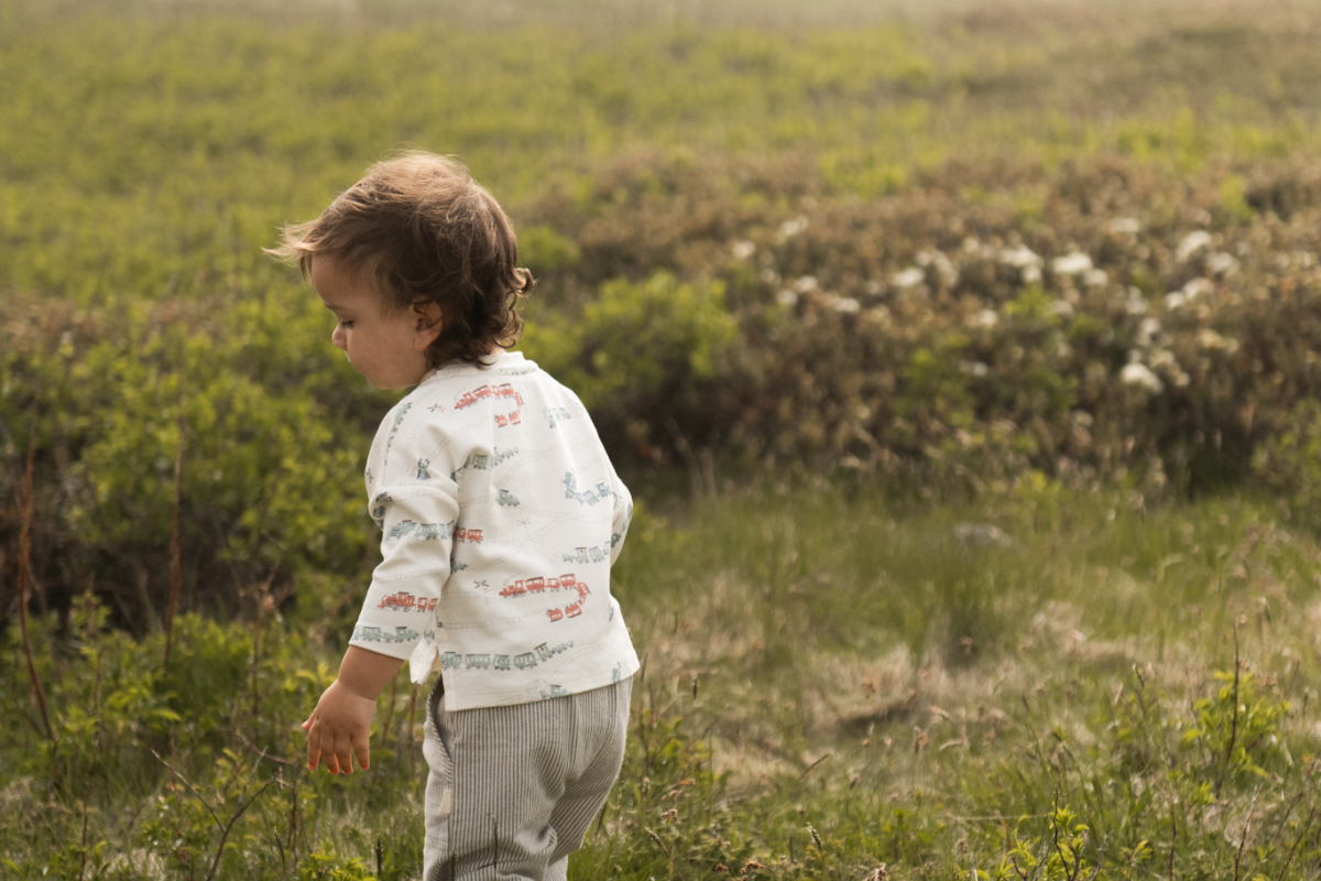 Locomotive Collection