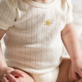 Petit Pehr Pointelle One-Piece 3-Pack - Skies