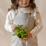 Railroad Overall - Railroad Stripe