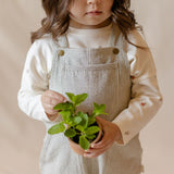 Railroad Overall - Railroad Stripe