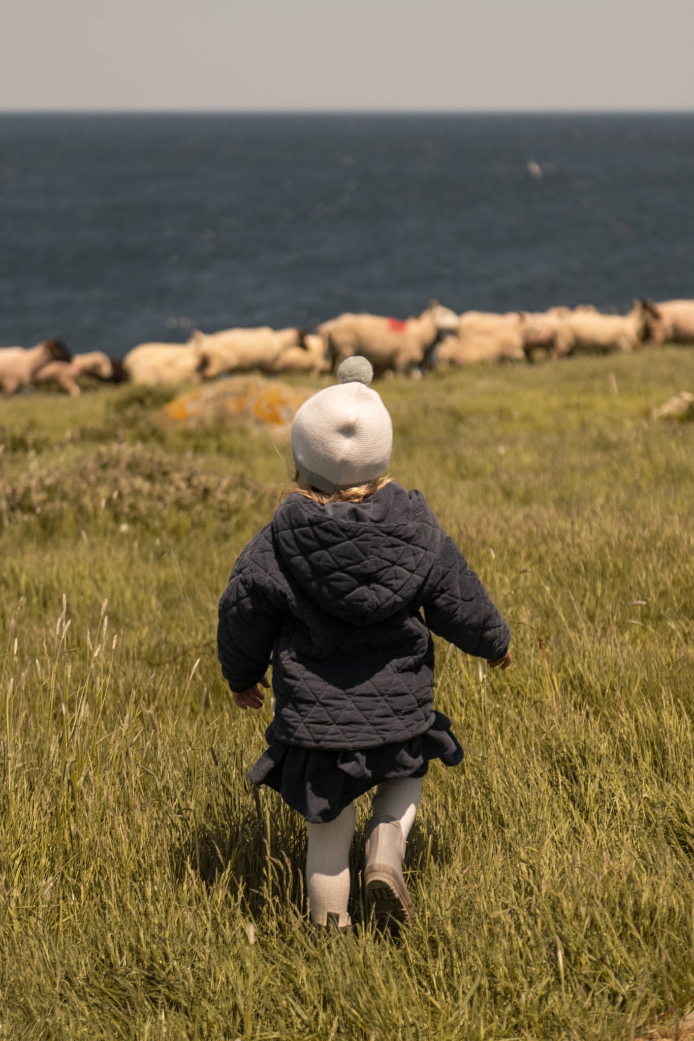 Toddler Wool Knit Hat - Natural - Sage