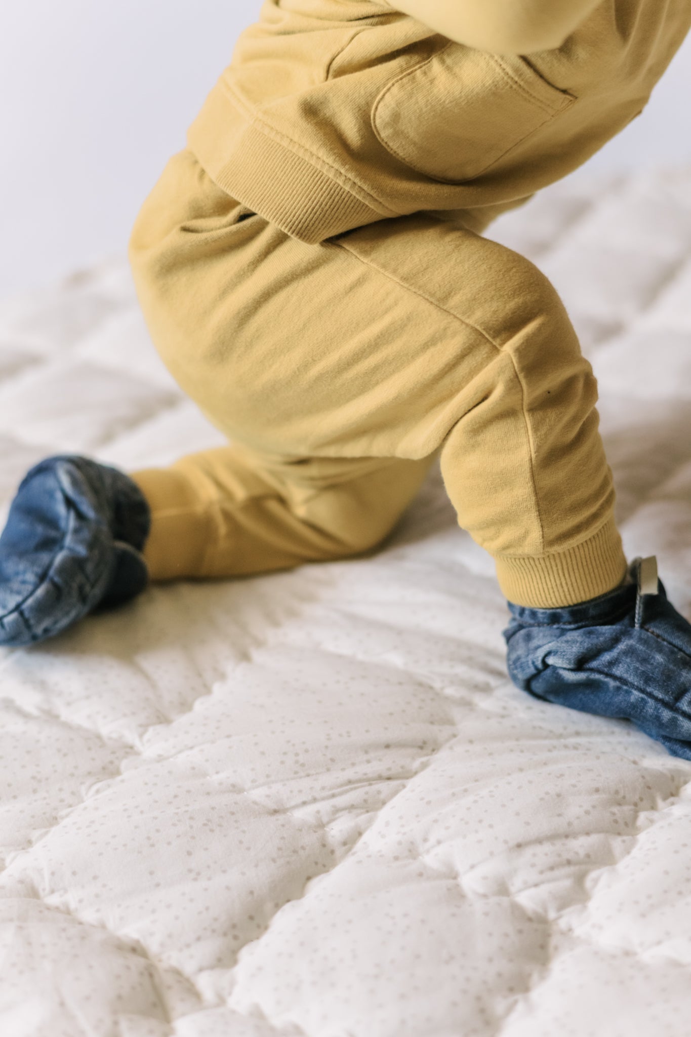 French Terry Harem Pant - Dijon