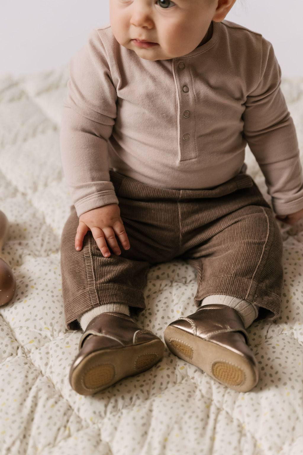 corduroy pant portobello