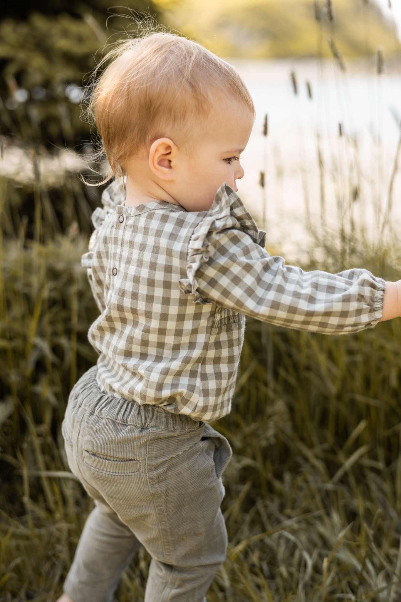 corduroy pant sage
