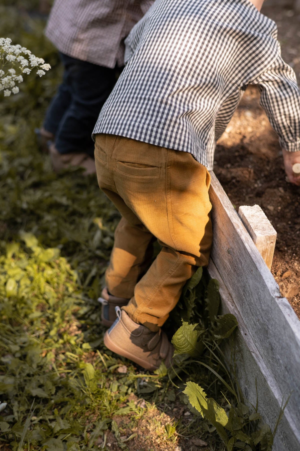 corduroy pant ochre
