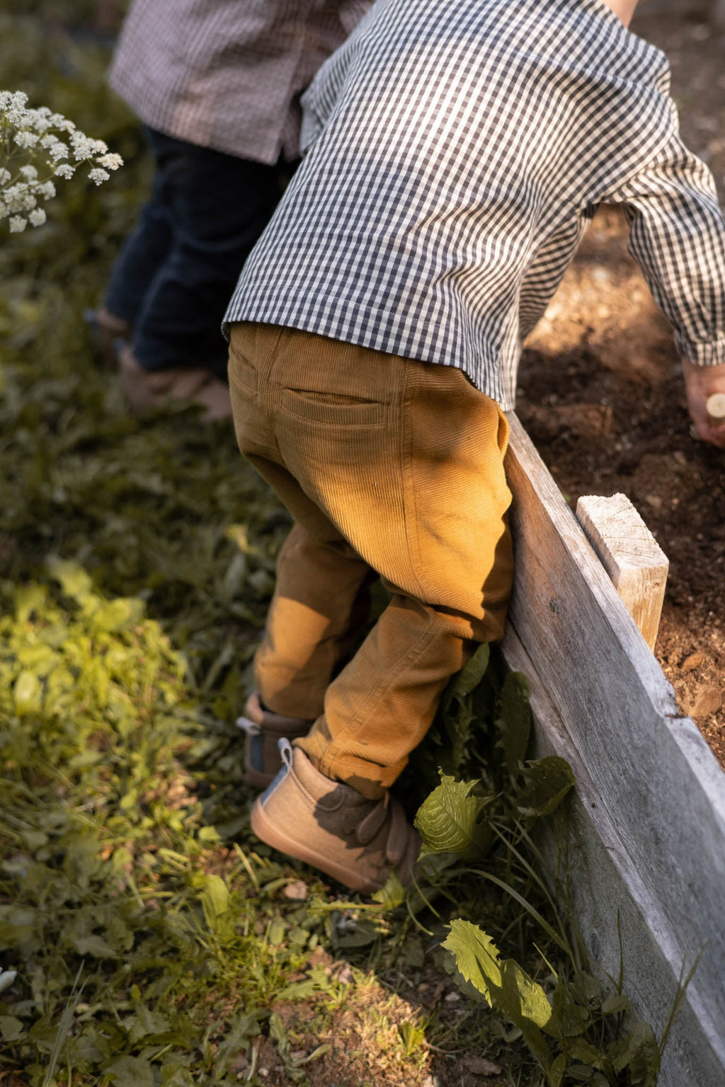 kids corduroy kids pant ochre