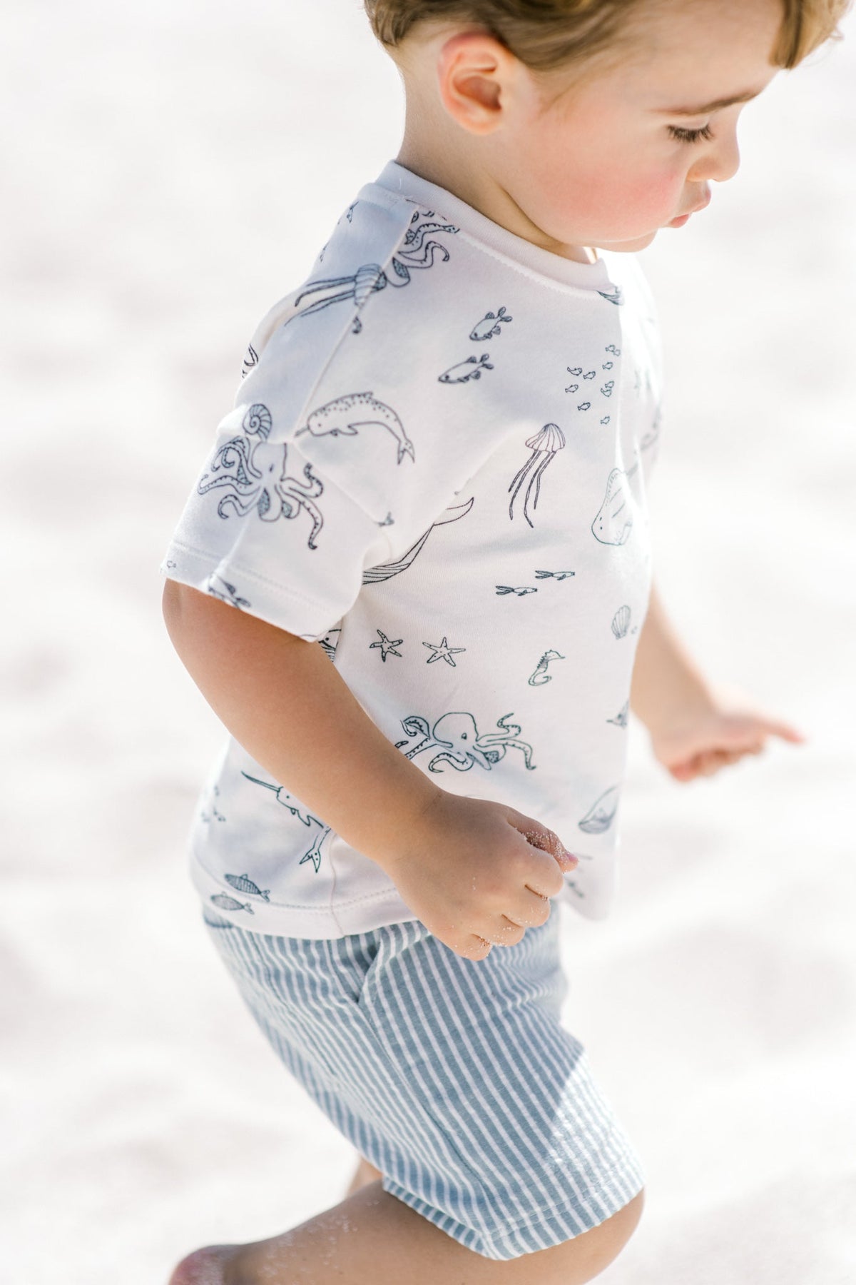 seersucker shorts marine blue
