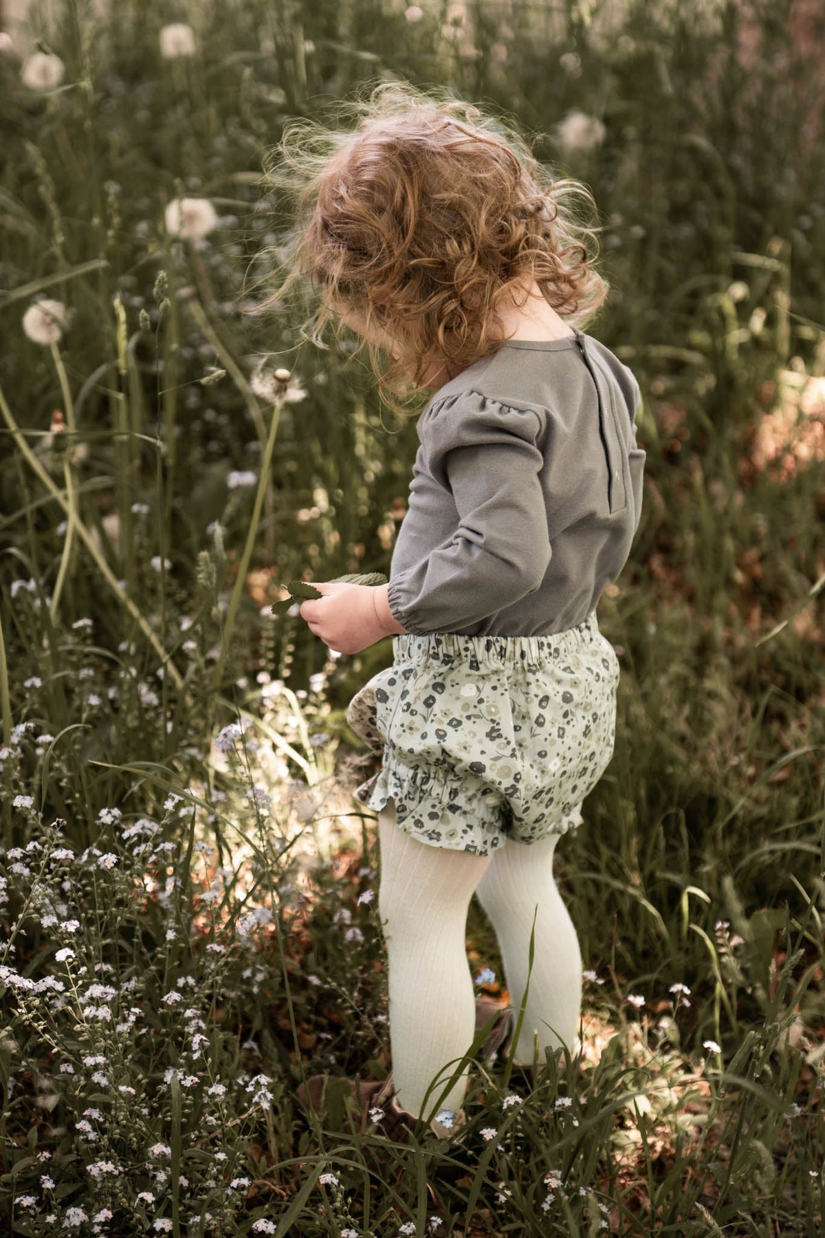 ruffle bloomer forget me not