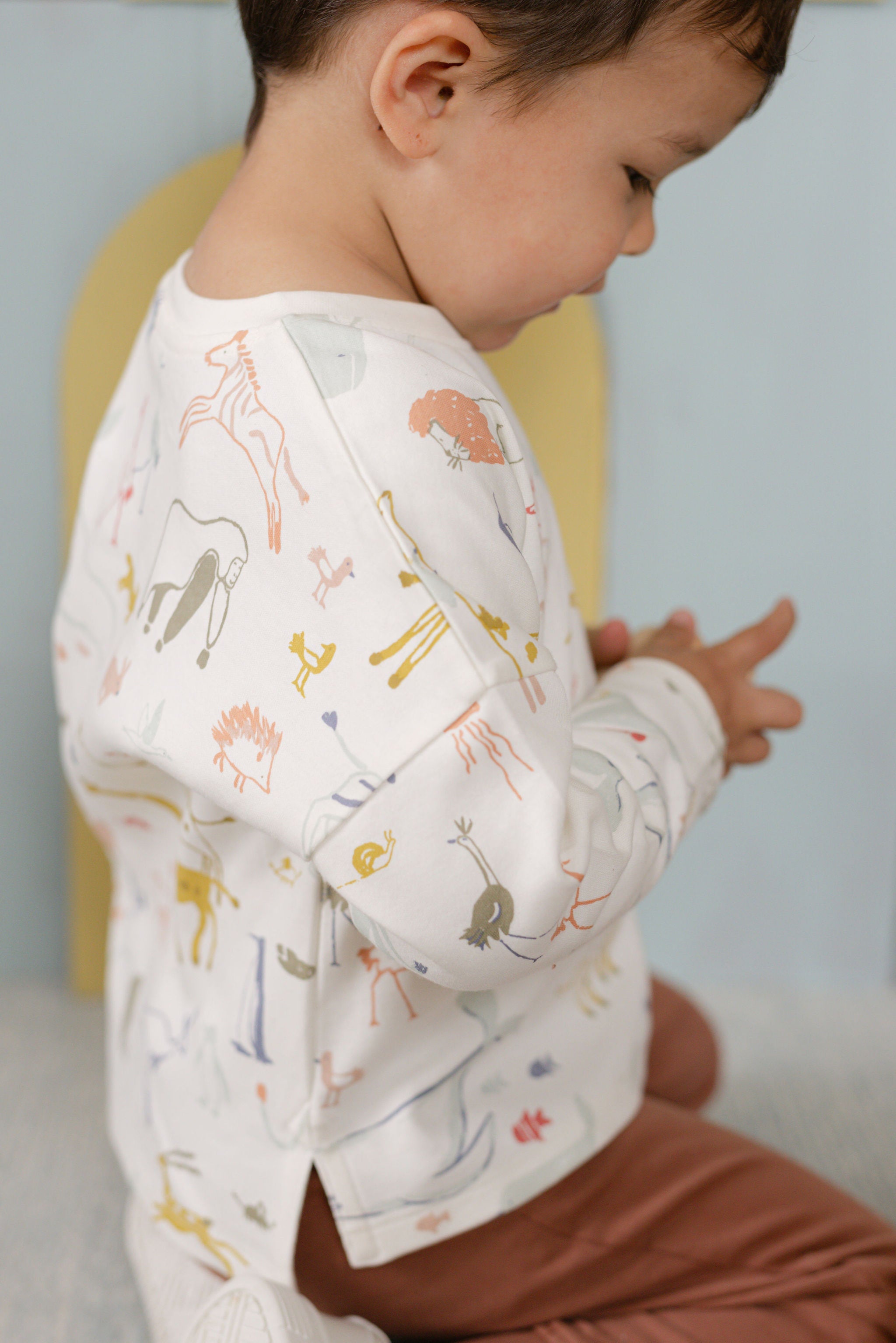 Dropped Shoulder Long Sleeve Top - Into The Wild