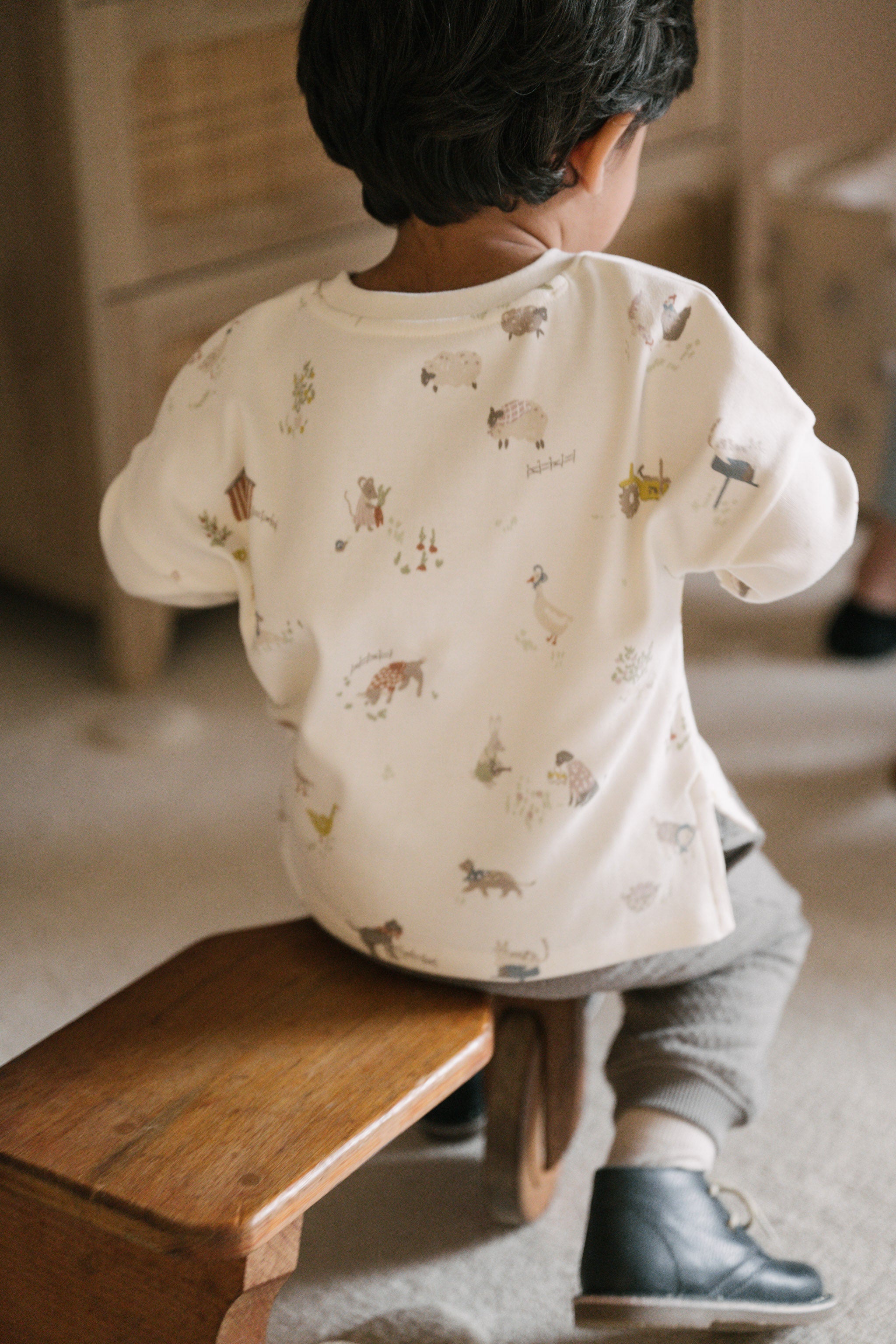 Dropped Shoulder Long Sleeve Top - On the Farm