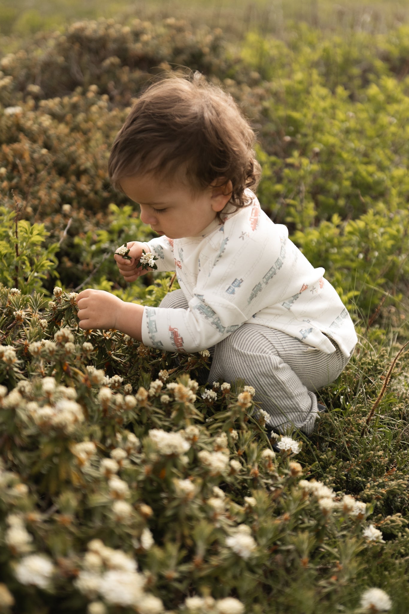 Dropped Shoulder Long Sleeve Top - Locomotive