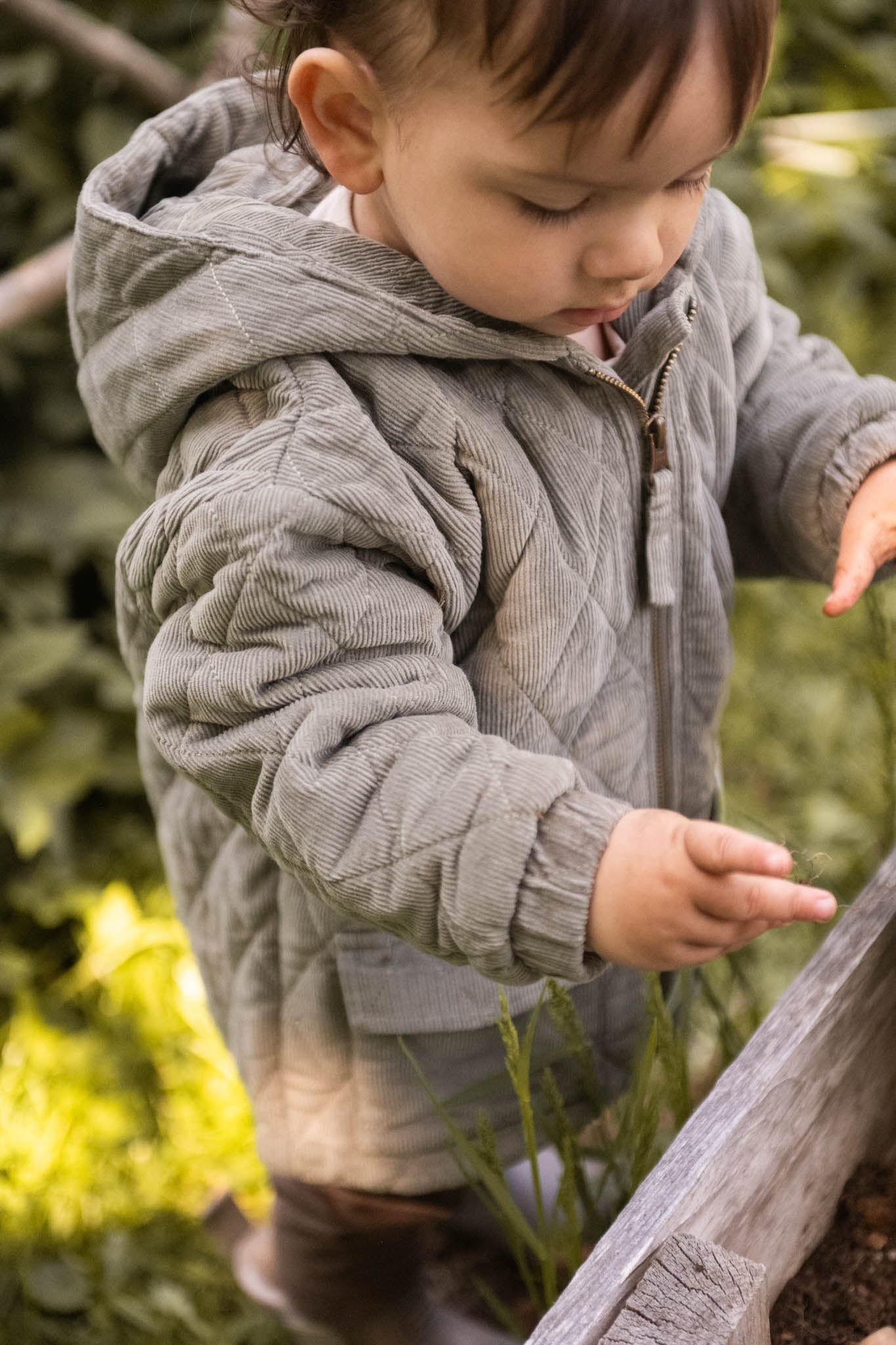 Corduroy Quilted Jacket - Sage