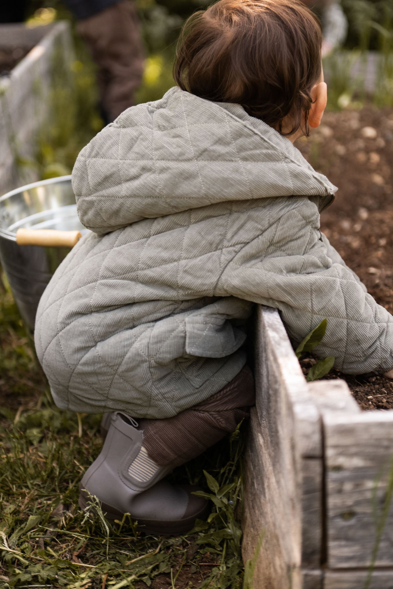 Corduroy Quilted Jacket - Sage