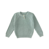 Cotton Knit Toddler Sweater - Pond