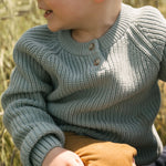 Cotton Knit Toddler Sweater - Pond
