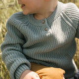 Cotton Knit Toddler Sweater - Pond