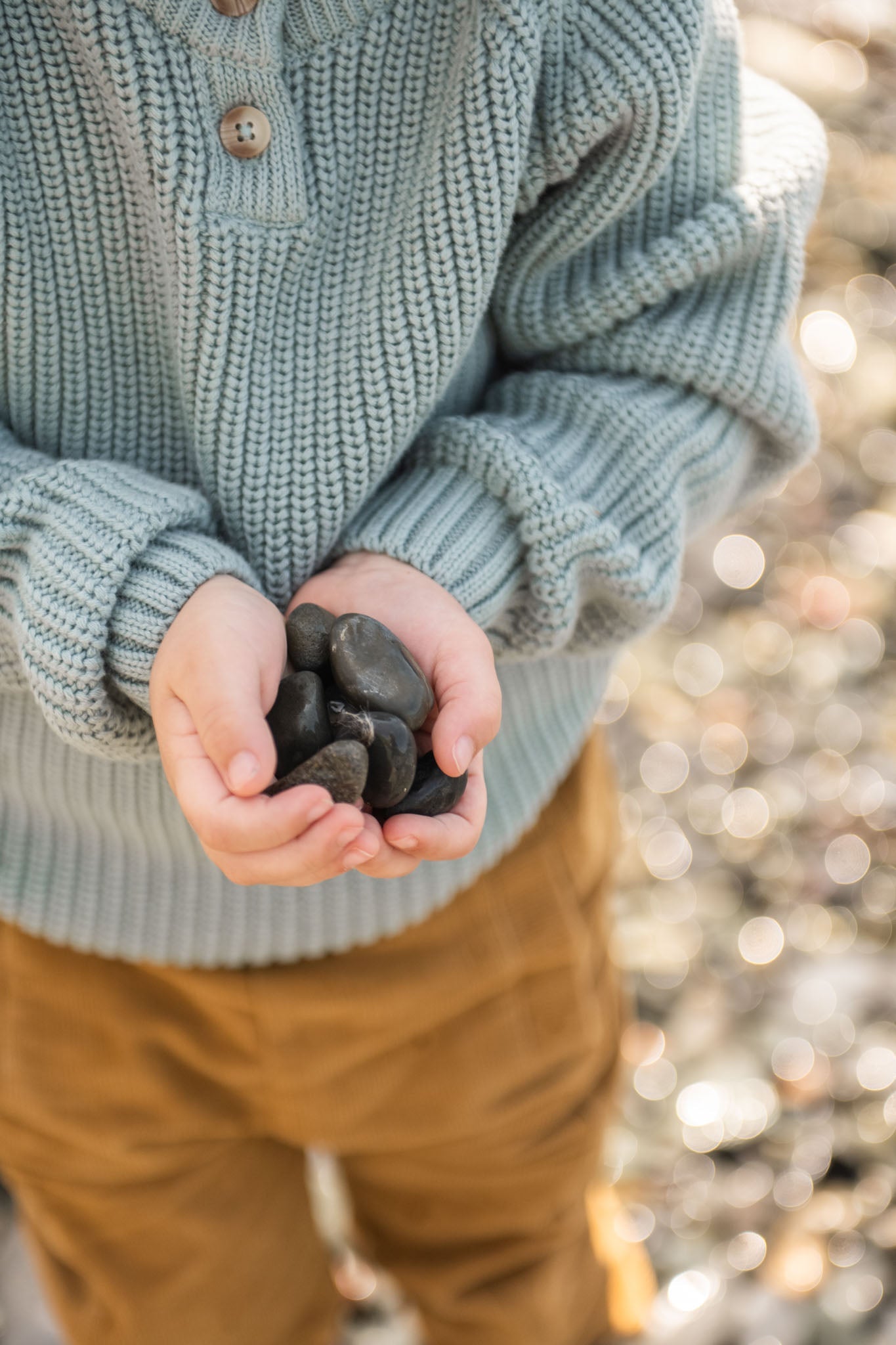 Cotton Knit Toddler Sweater - Pond