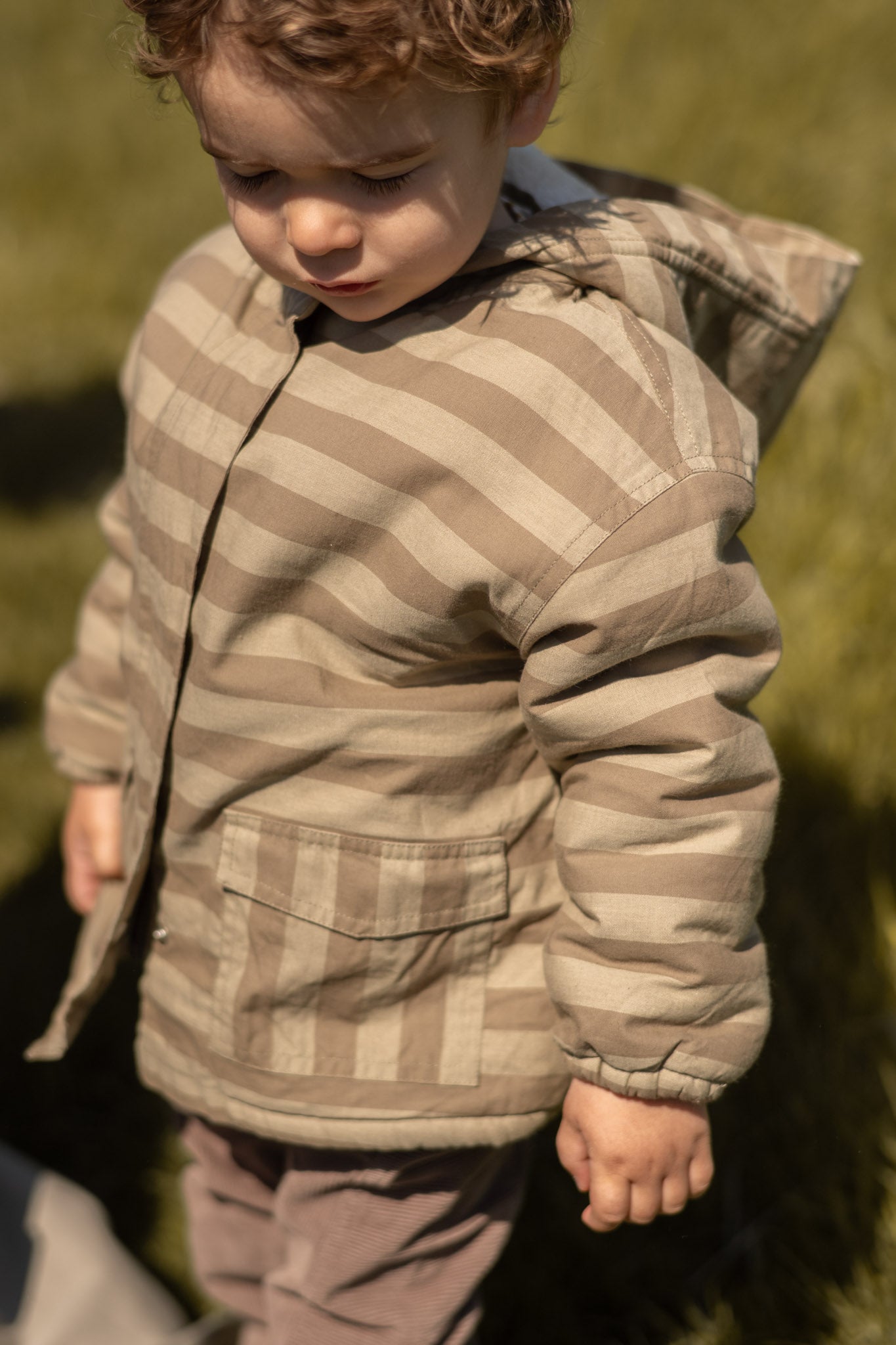 Sherpa Lined Storm Jacket - Moss Stripe