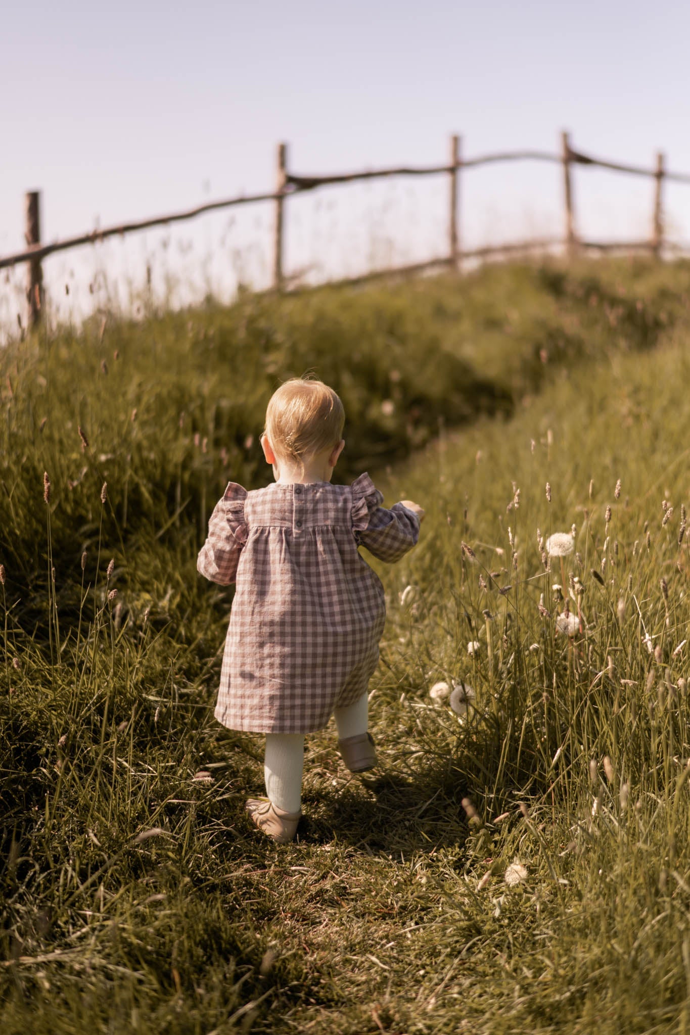 Flannel Smocked Dress - Thistle/Light Thistle