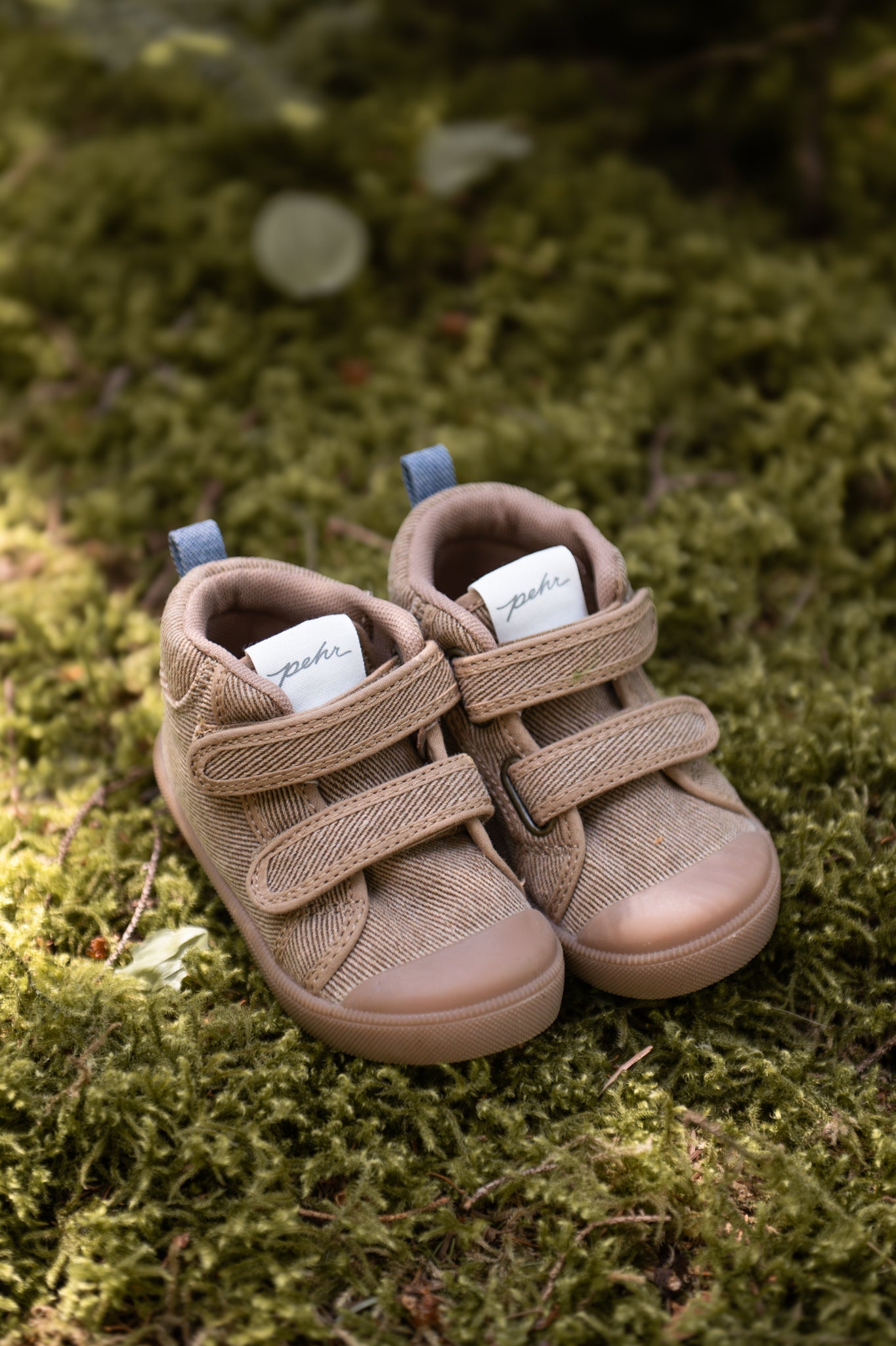 Field Trip Sneaker - Chestnut