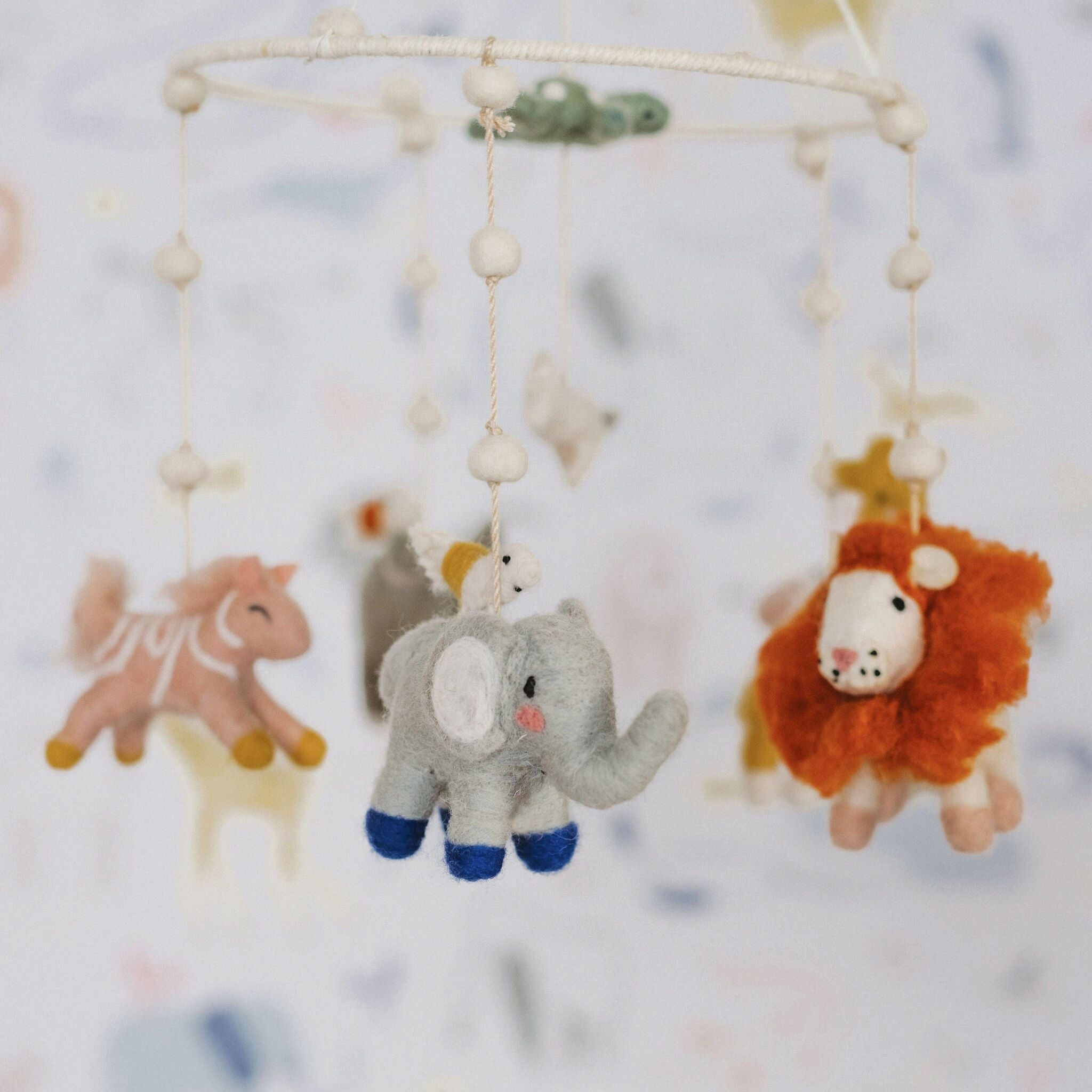 Classic Mobile - Into The Wild