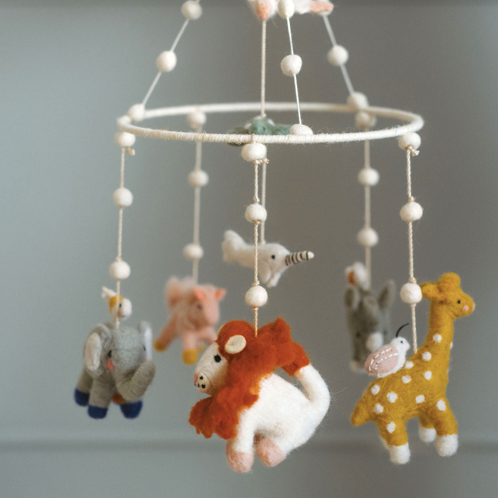 Classic Mobile - Into The Wild