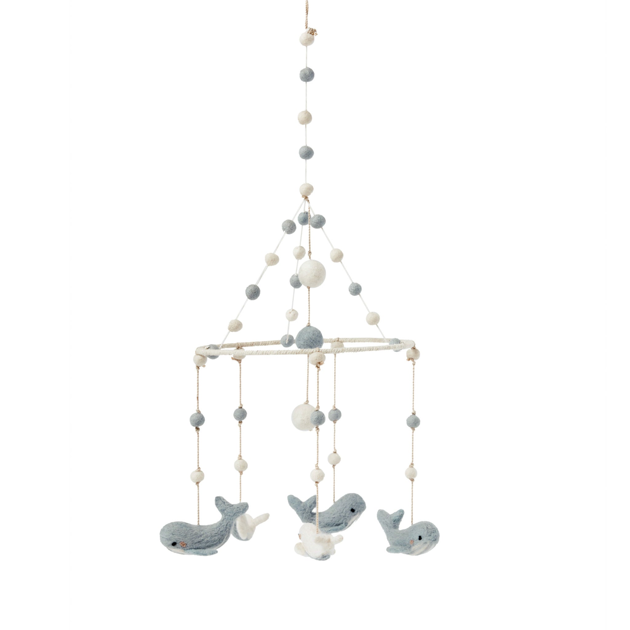 Classic Mobile - Follow Me Whale