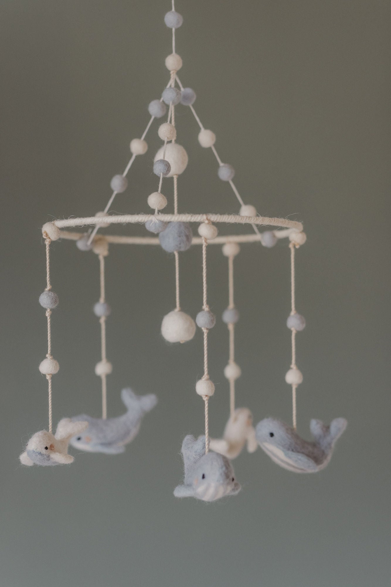 Classic Mobile - Follow Me Whale