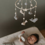 Classic Mobile - Follow Me Whale