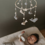 Classic Mobile - Follow Me Whale