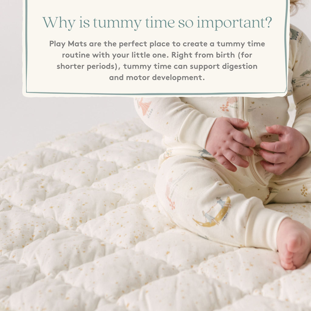 baby play mat zodiac