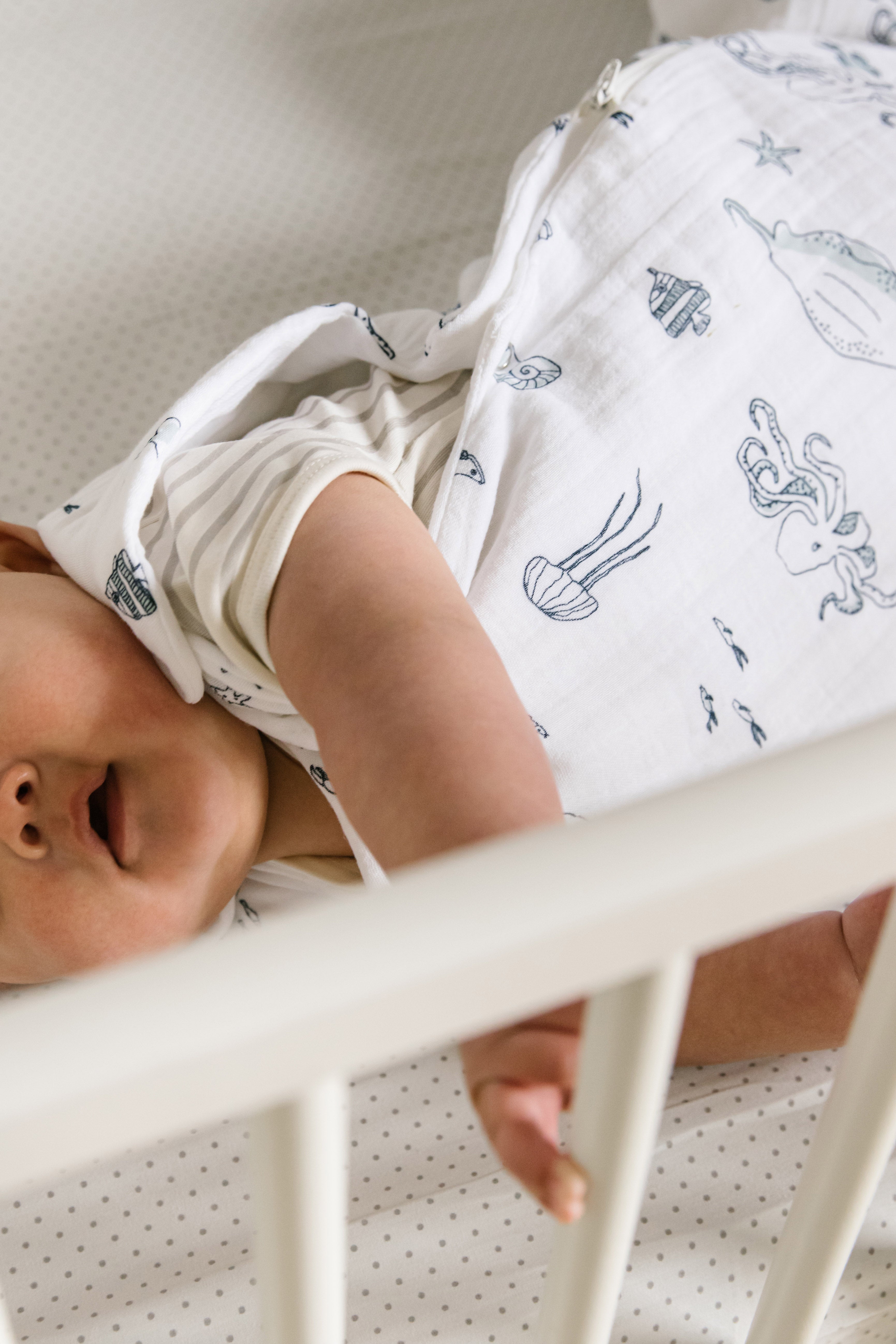 1.0 TOG Sleep Bag - Life Aquatic