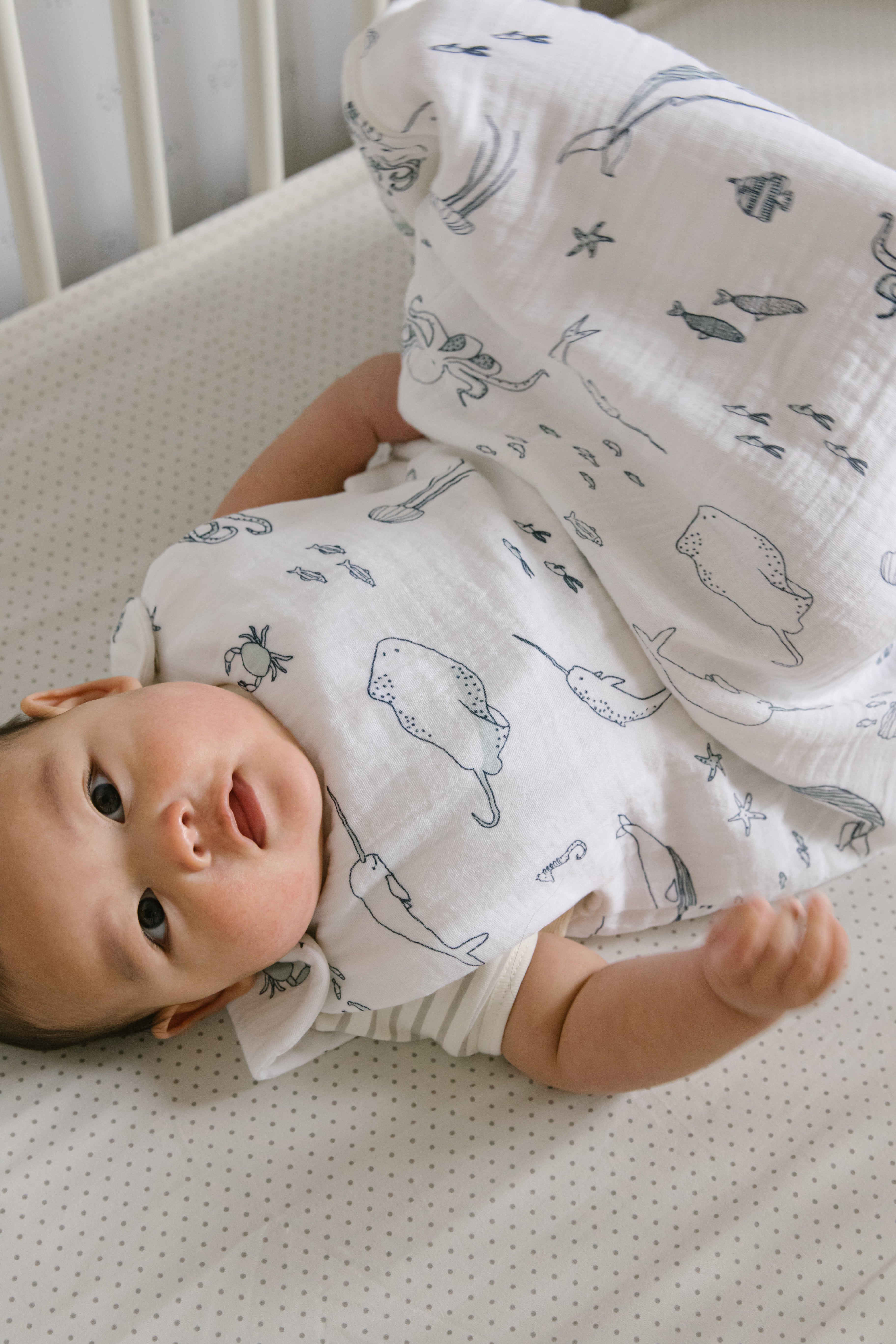 1.0 TOG Sleep Bag - Life Aquatic