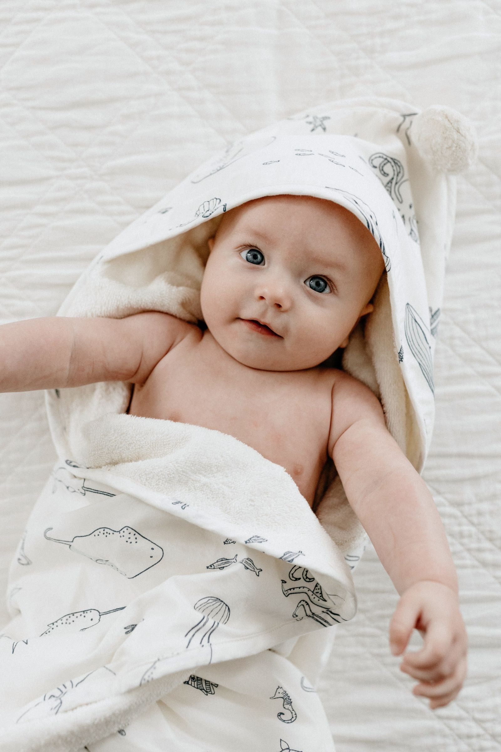 hooded towel life aquatic
