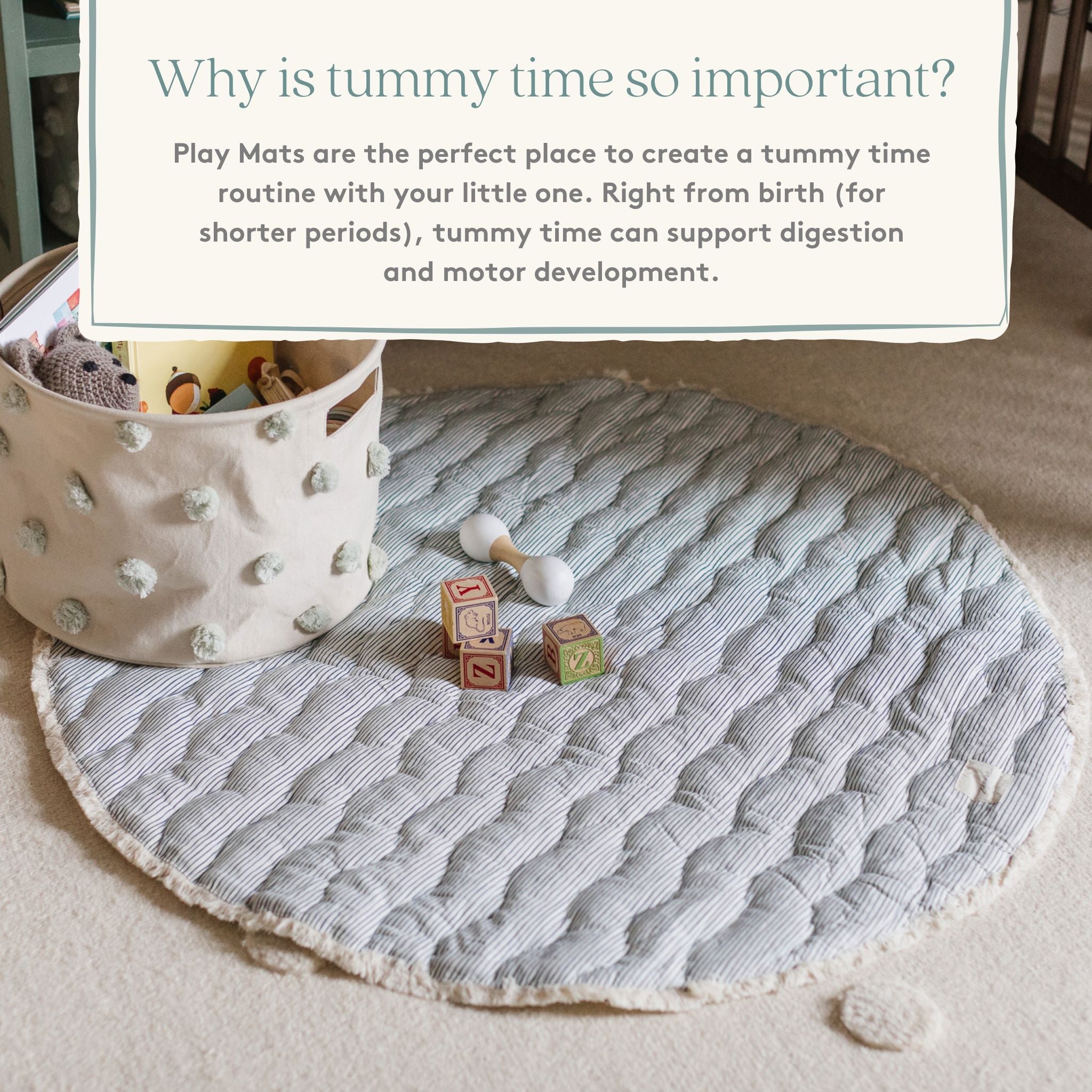 Baby Play Mat - Life Aquatic