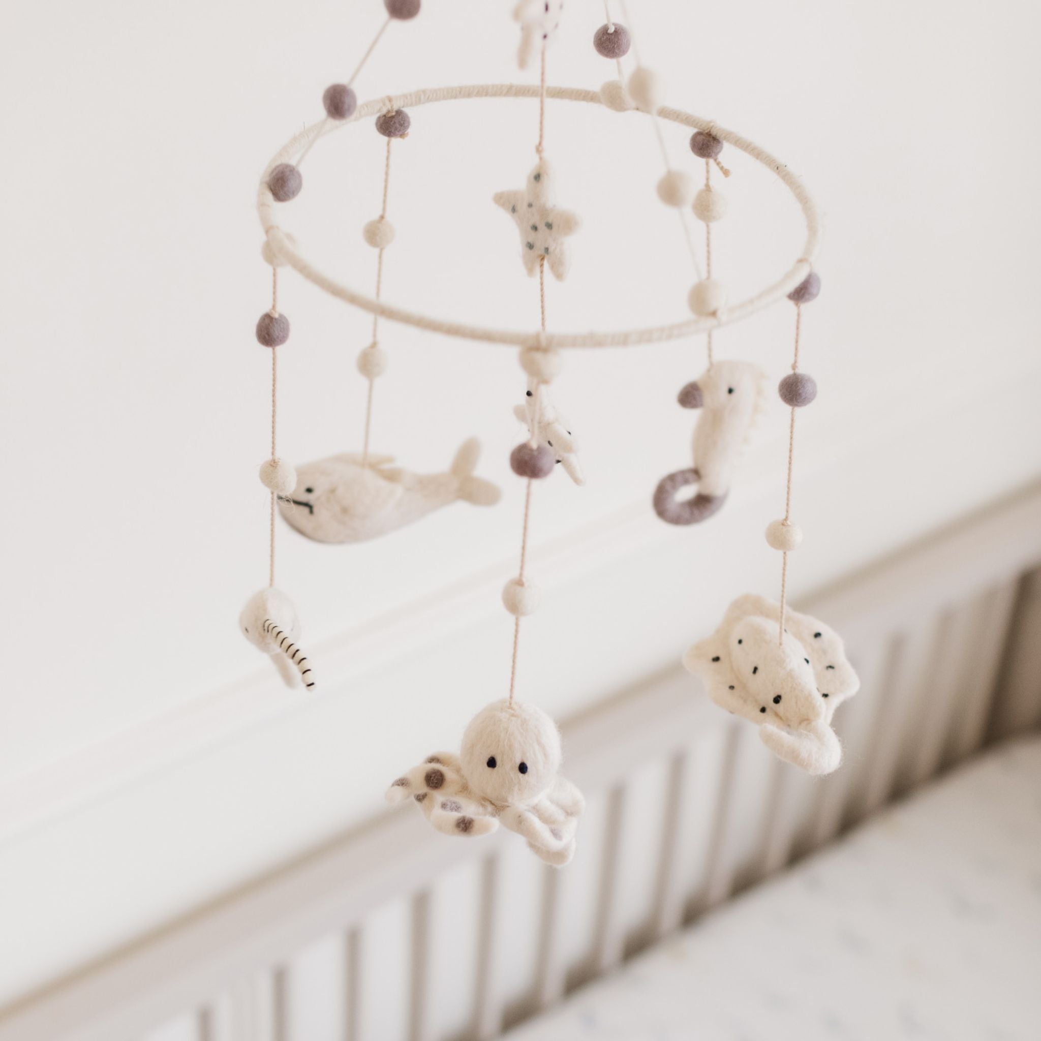 Classic Mobile - Life Aquatic