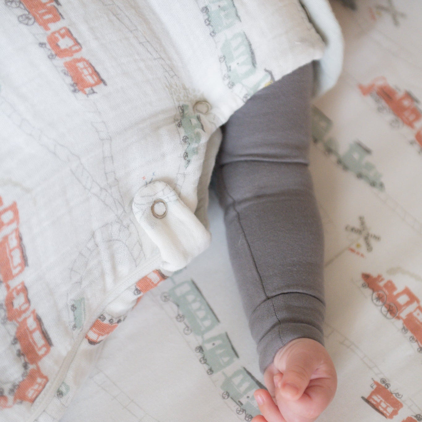 1.7 TOG Sleep Bag - Locomotive