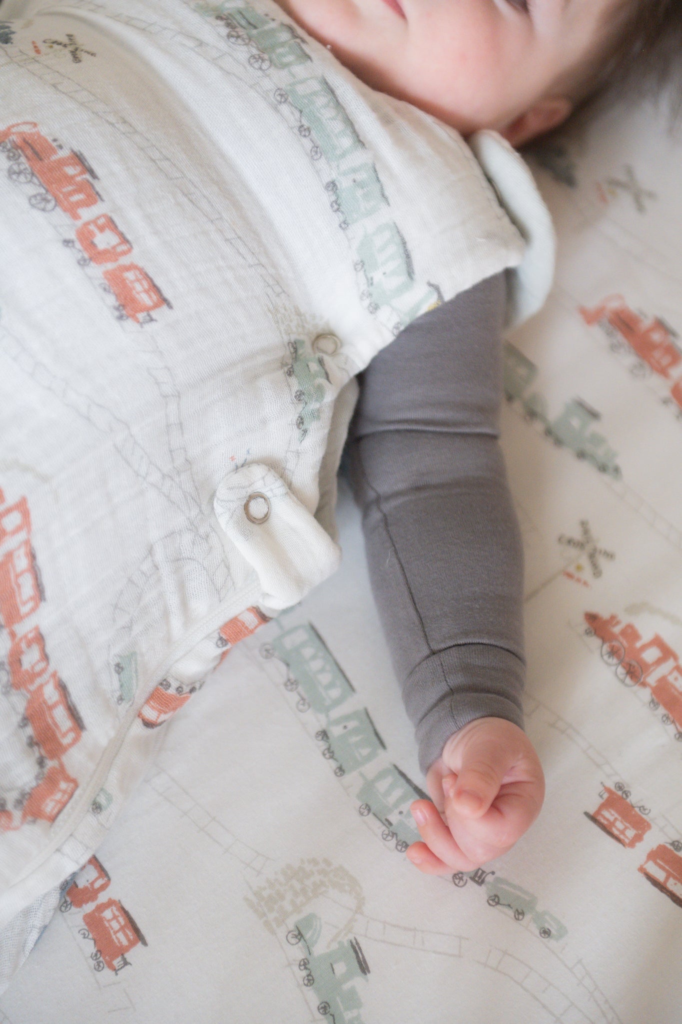 1.7 TOG Sleep Bag - Locomotive