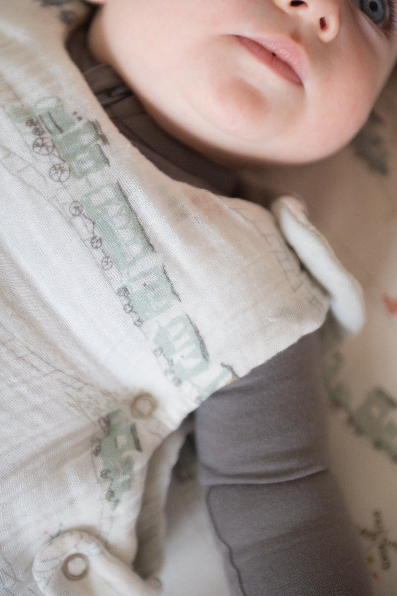 1.7 TOG Sleep Bag - Locomotive