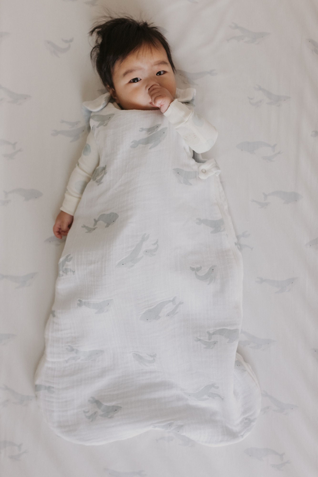1.7 TOG Sleep Bag - Follow Me Whale
