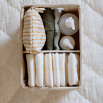 Pom Pom Hideaway Caddy Organizer - Blush