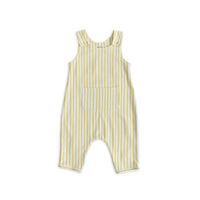 Stripes Away Marigold