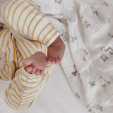 Harem Pant - Stripes Away Marigold