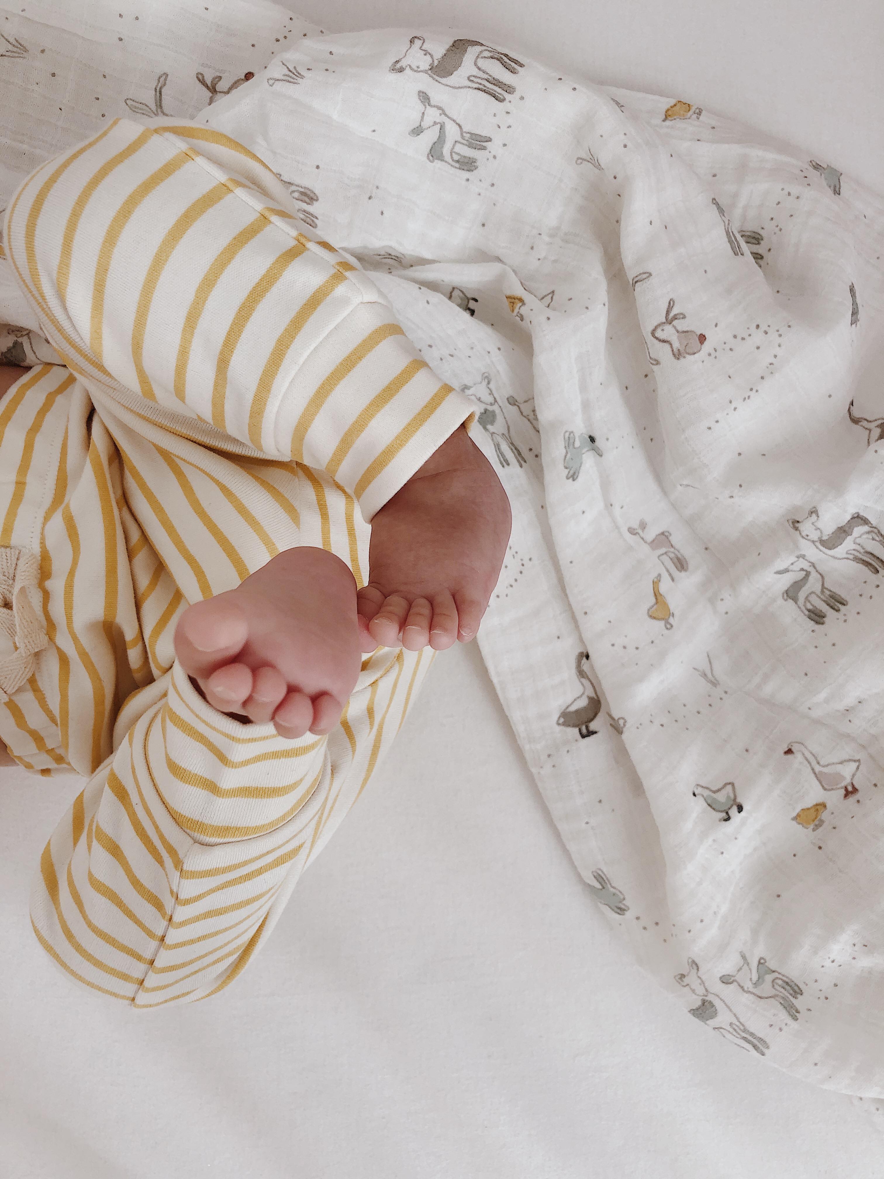 Harem Pant - Stripes Away Marigold