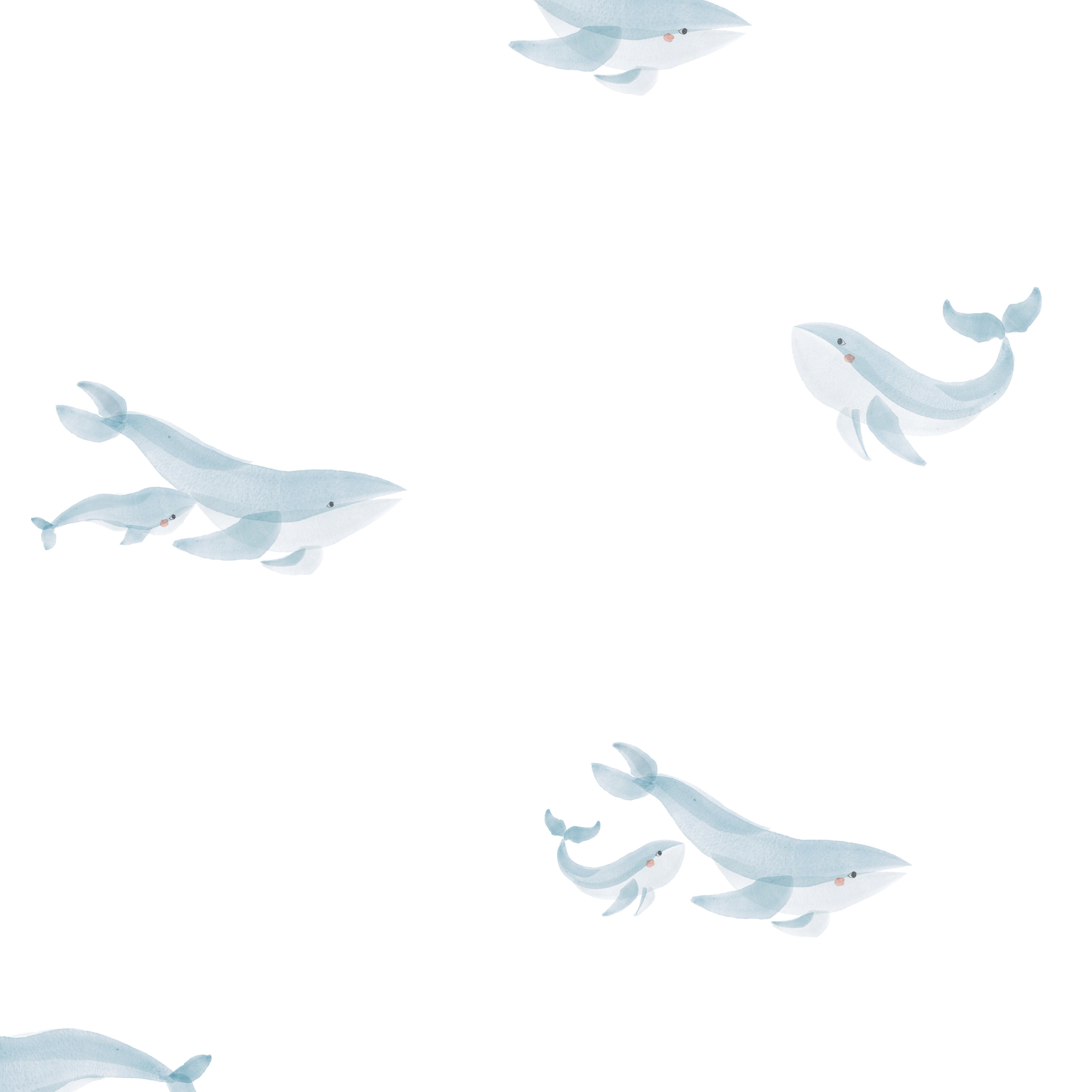 Chasing Paper X Pehr Wallpaper - Follow Me Whale
