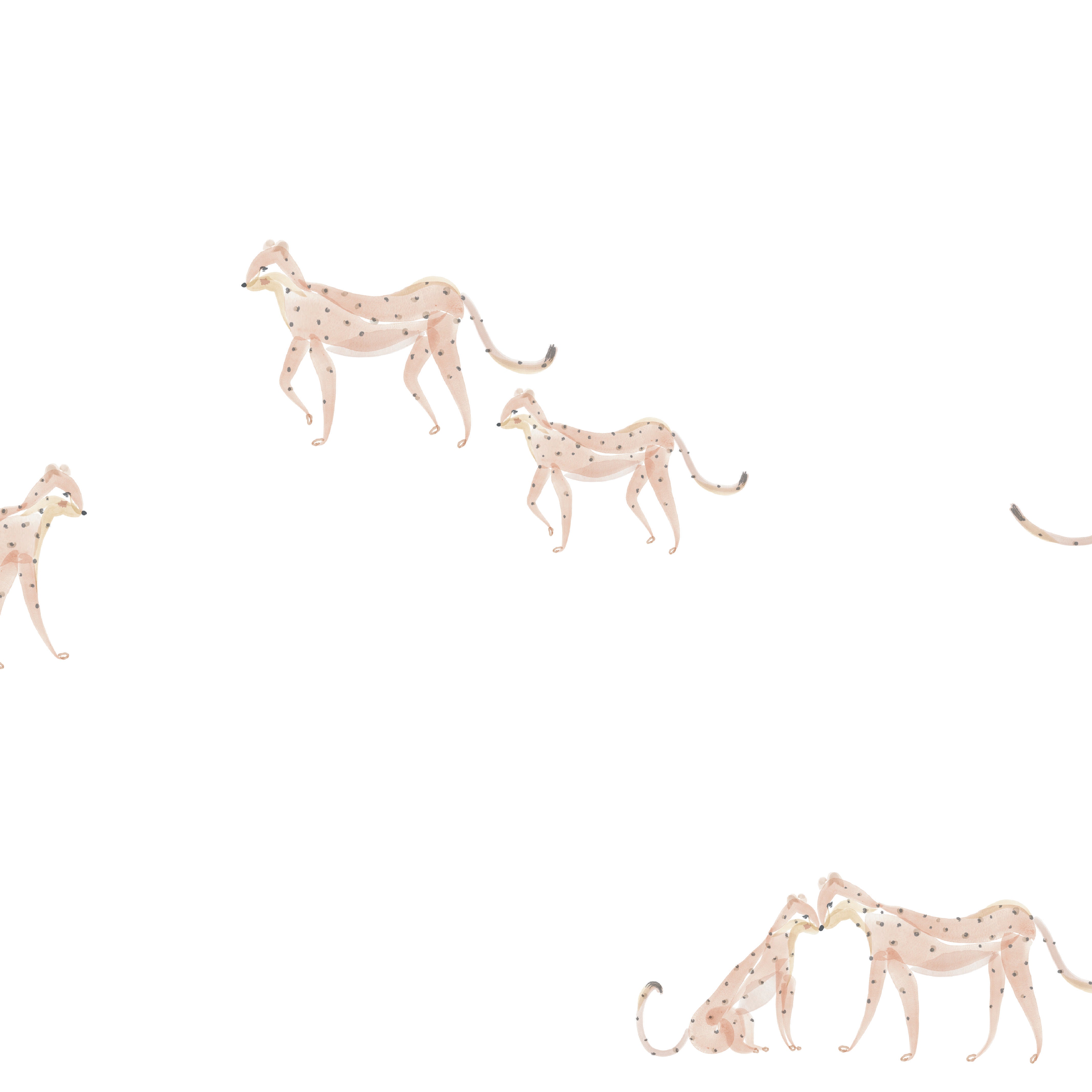 Chasing Paper X Pehr Wallpaper - Follow Me Cheetah