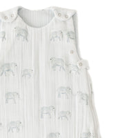 Follow Me Elephant