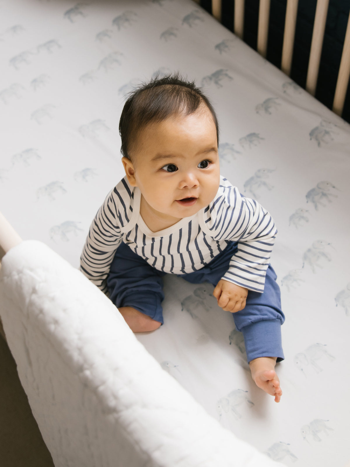 follow me crib sheet elephant